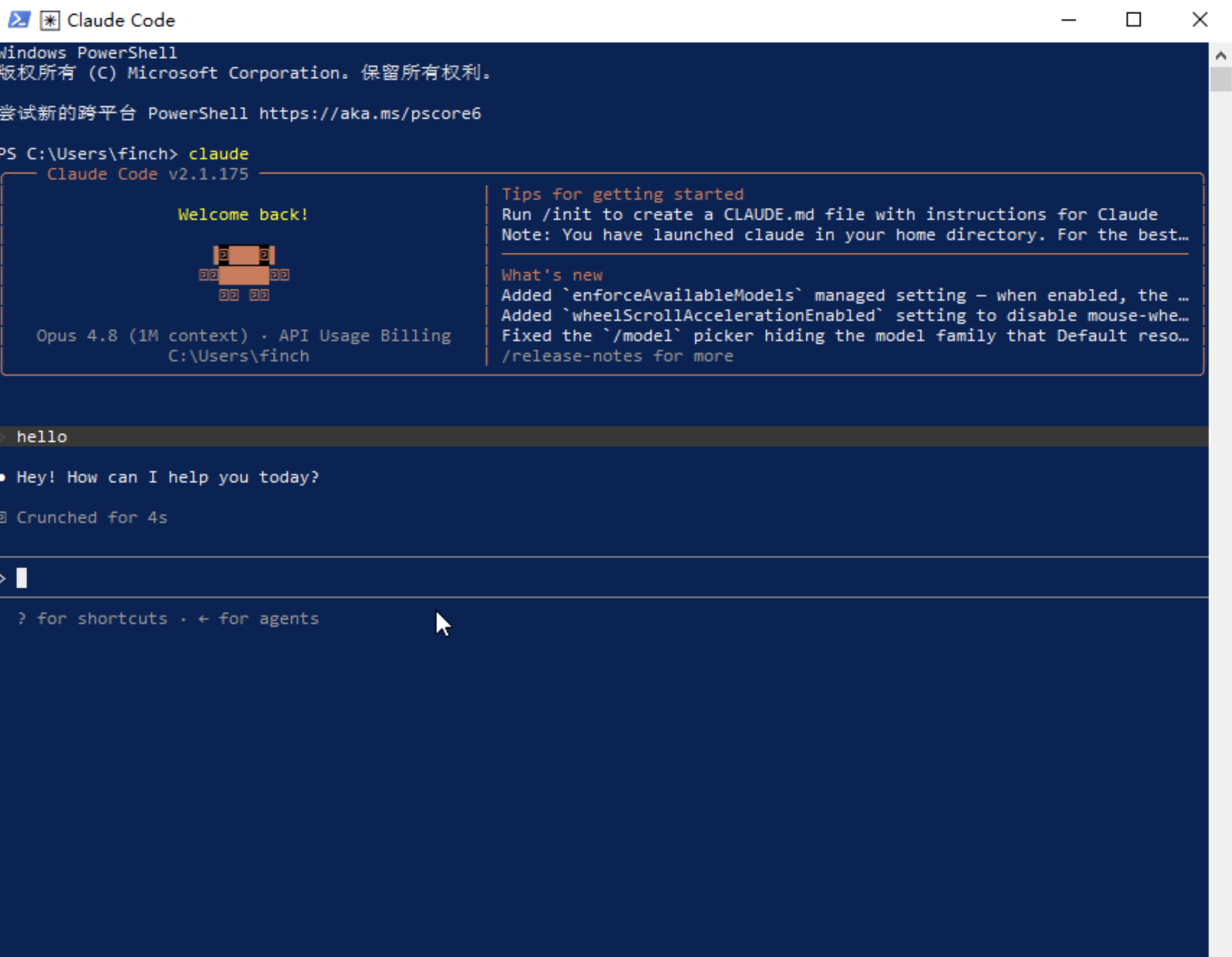 在 PowerShell 中运行 claude